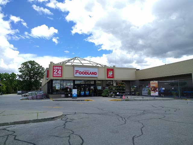 Foodland Bluewater